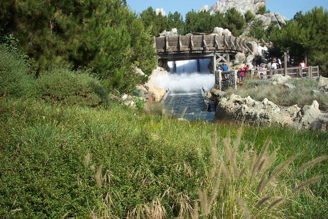 Trip To Disney29