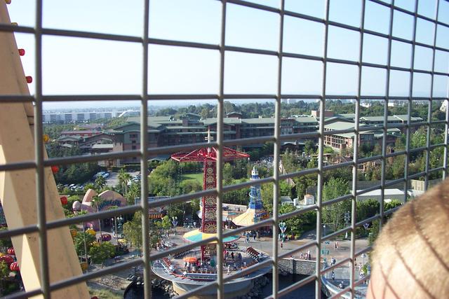 Trip To Disney36