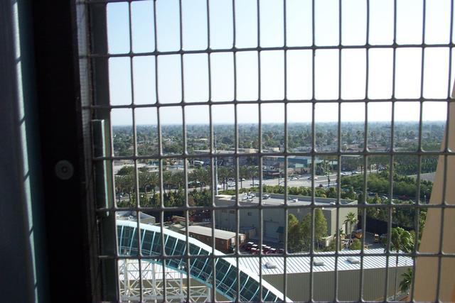 Trip To Disney38