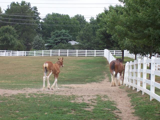 Picture_045