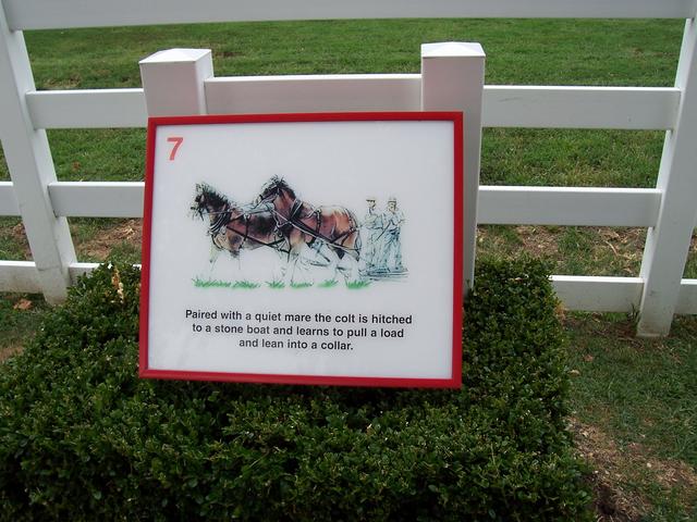 Picture_047