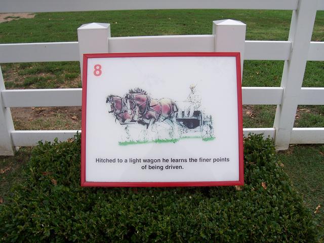 Picture_048