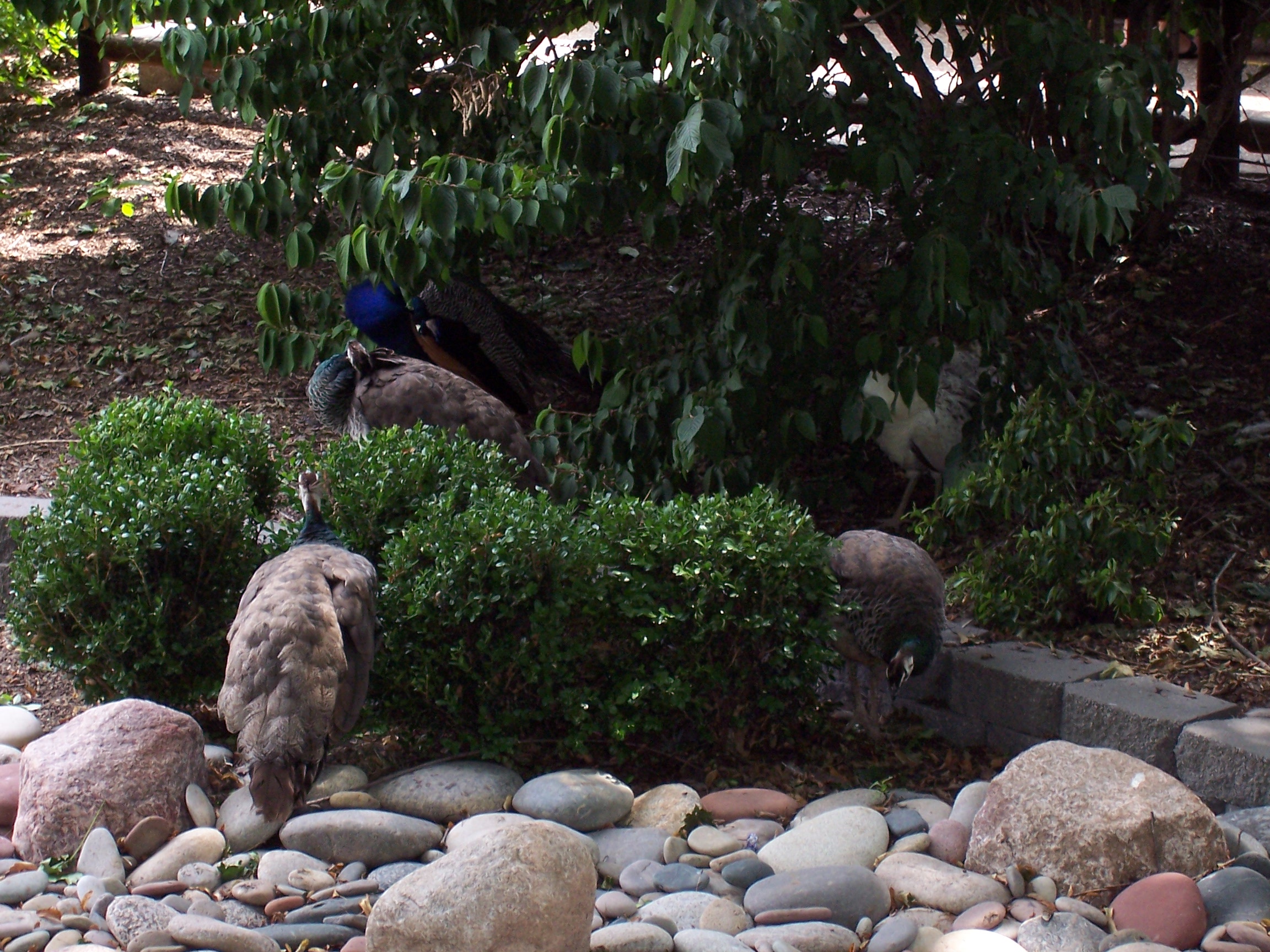 Picture_065