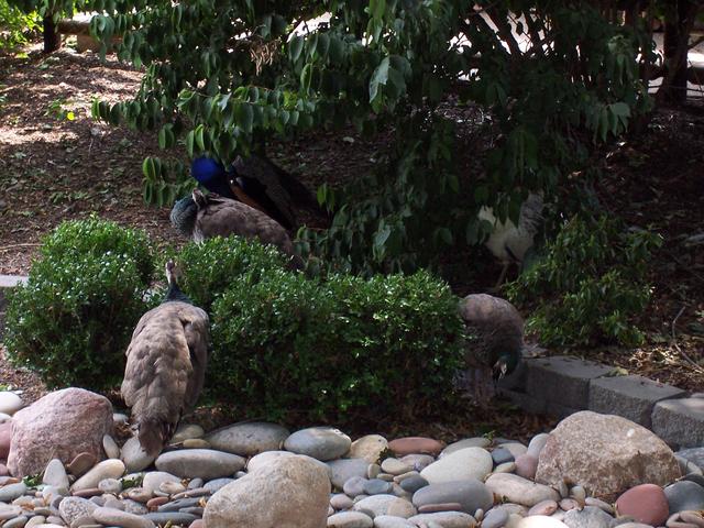 Picture_065