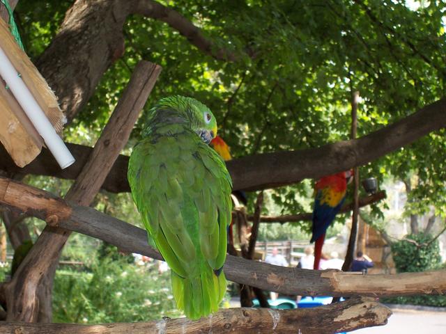 Picture_068