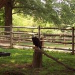 Picture_079