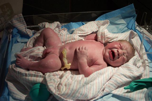 baby david 006