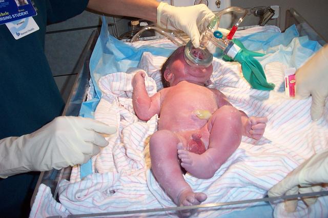 baby david 007