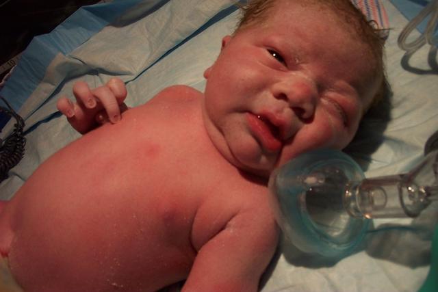 baby david 010