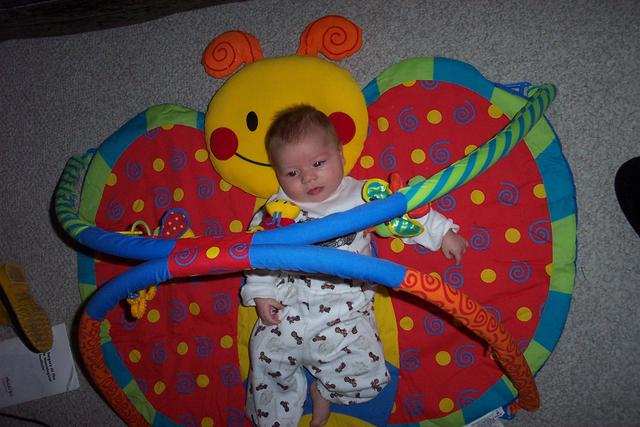 dave jr