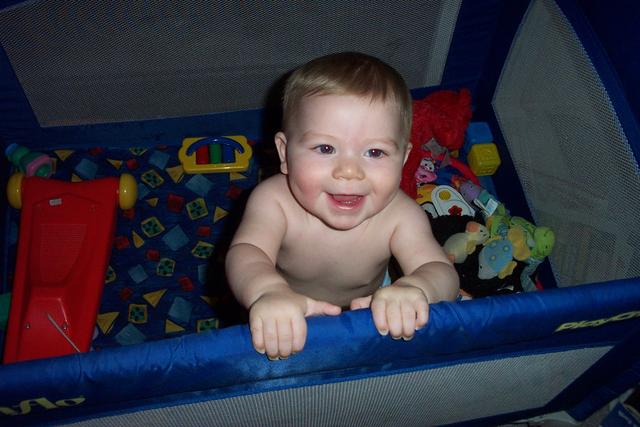 david 1