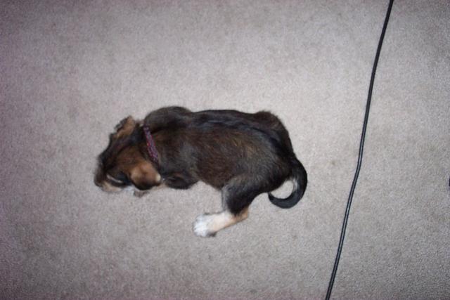 max first day home 001