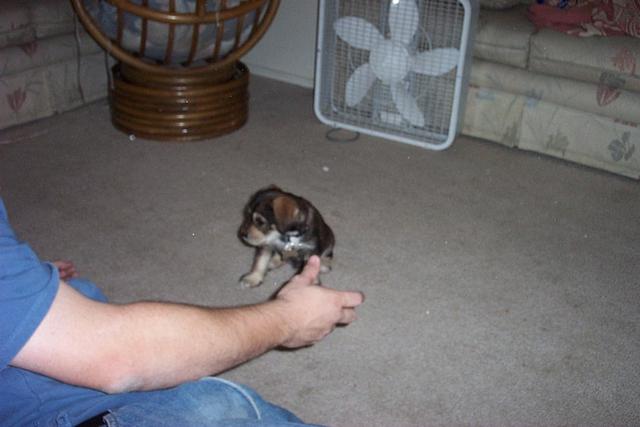 max first day home 005