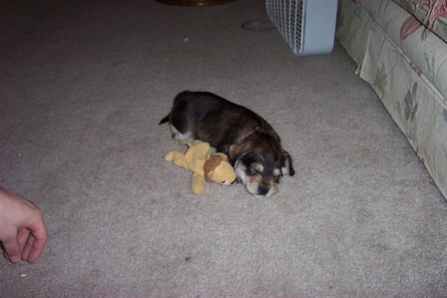 max first day home 006