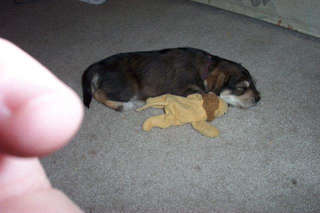 max first day home 007