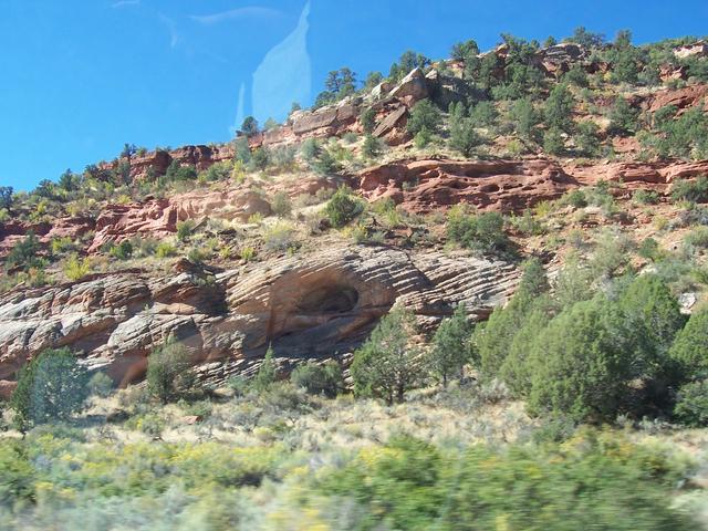 landscape00382