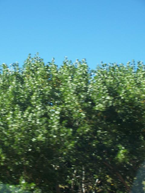landscape00407