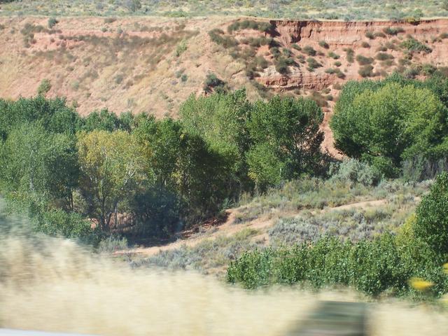 landscape00409