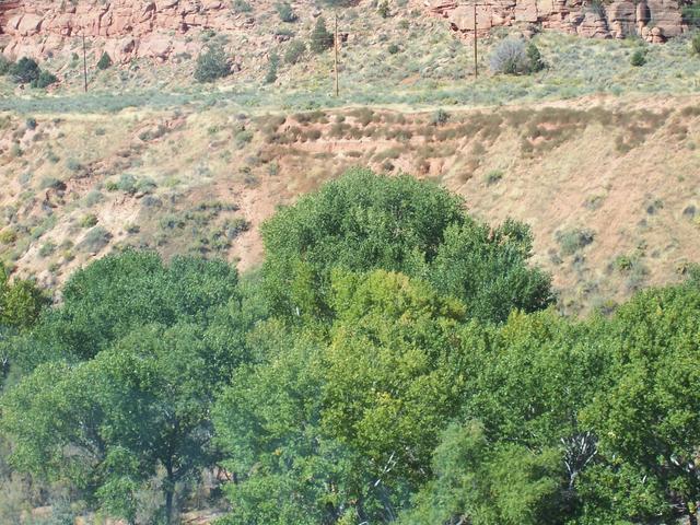landscape00410