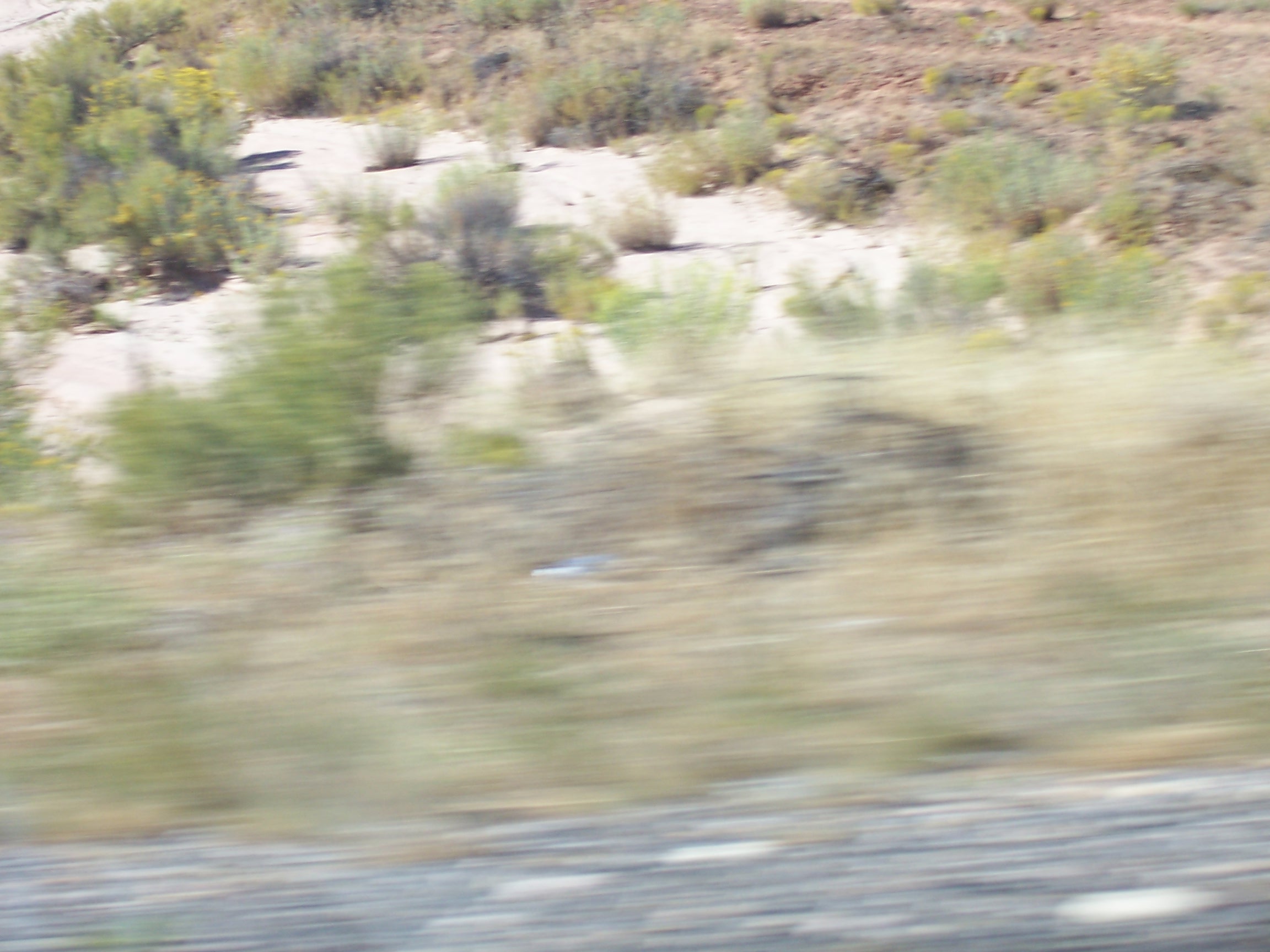 landscape00446