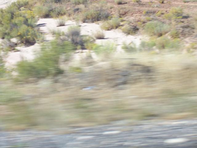 landscape00446