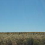 landscape00481