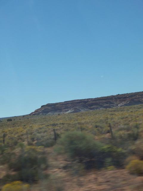 landscape00491