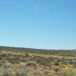 landscape00543