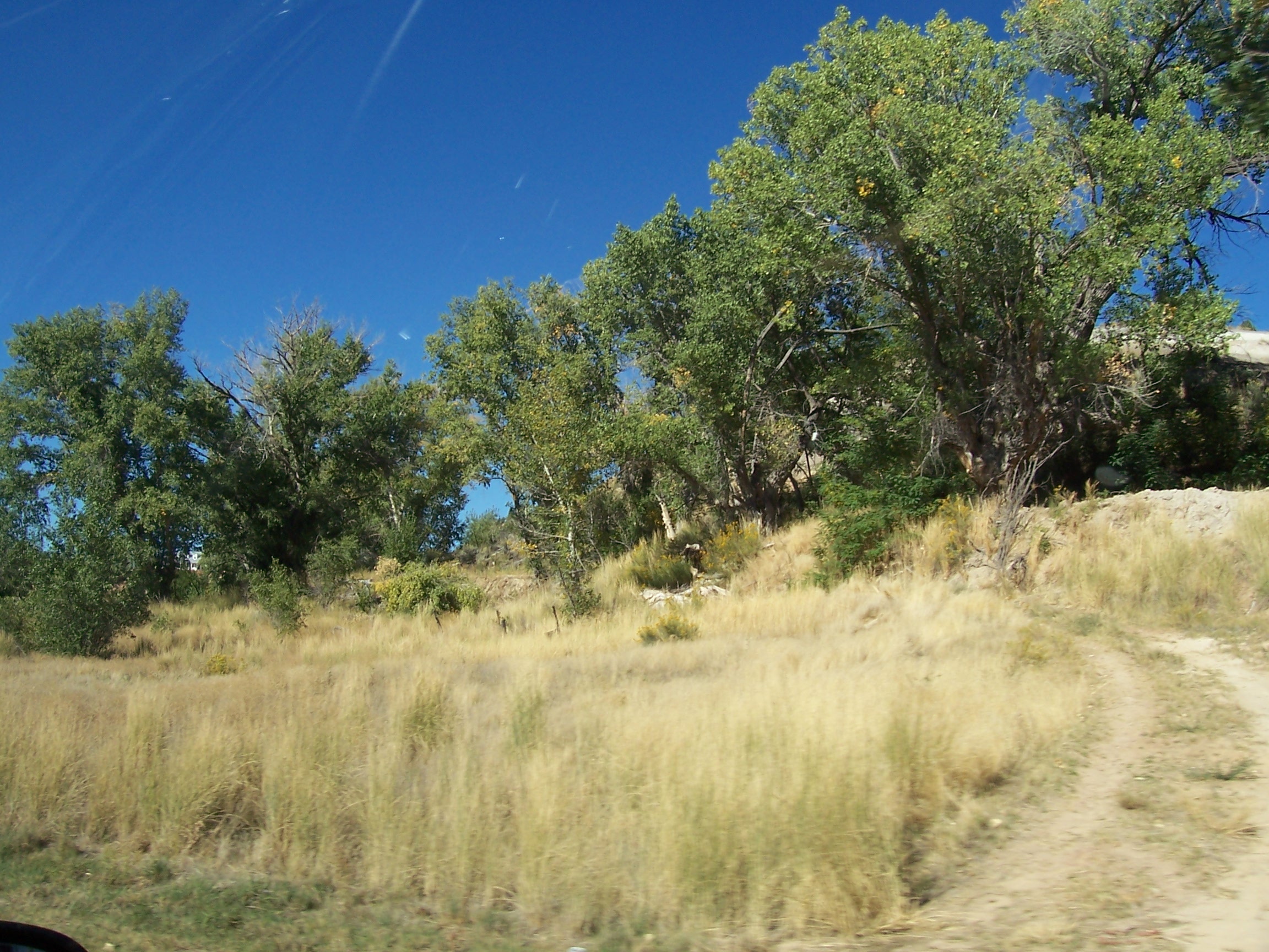 landscape00580