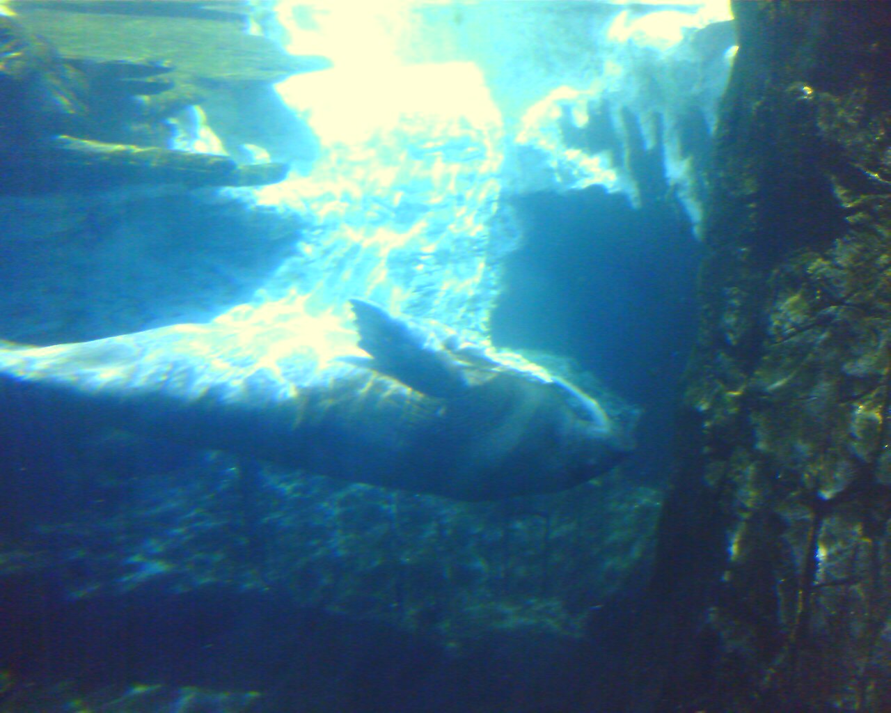 IMAGE_00009