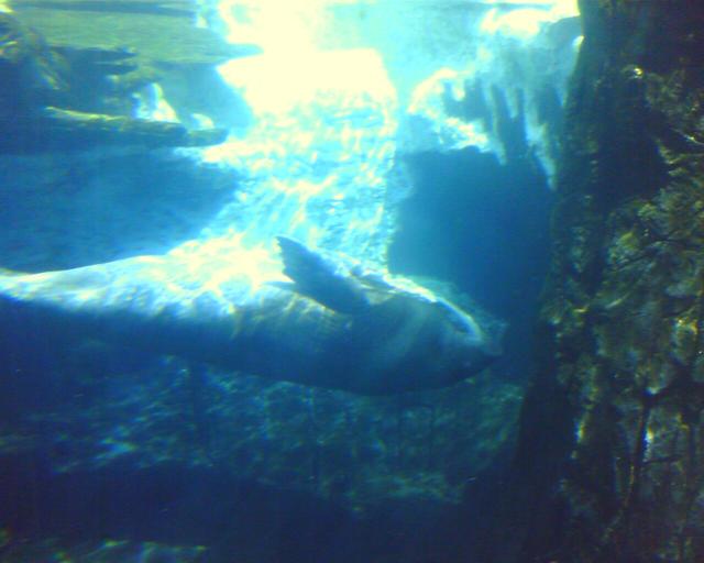 IMAGE_00009