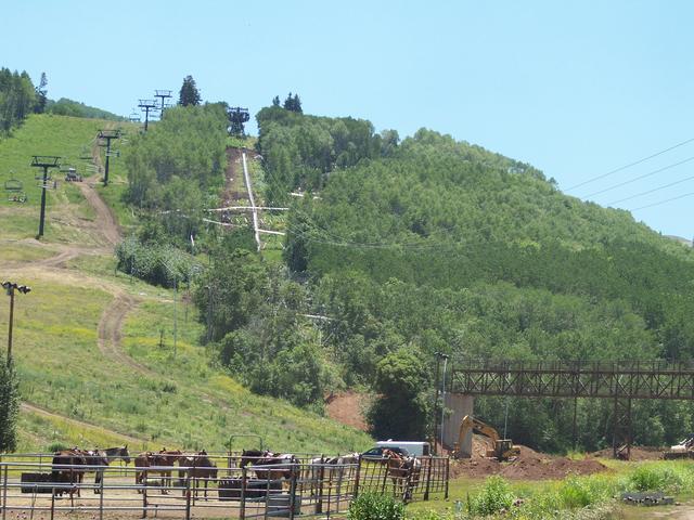 100_0697