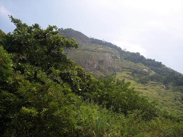 Brazil 093