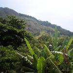 Brazil 094