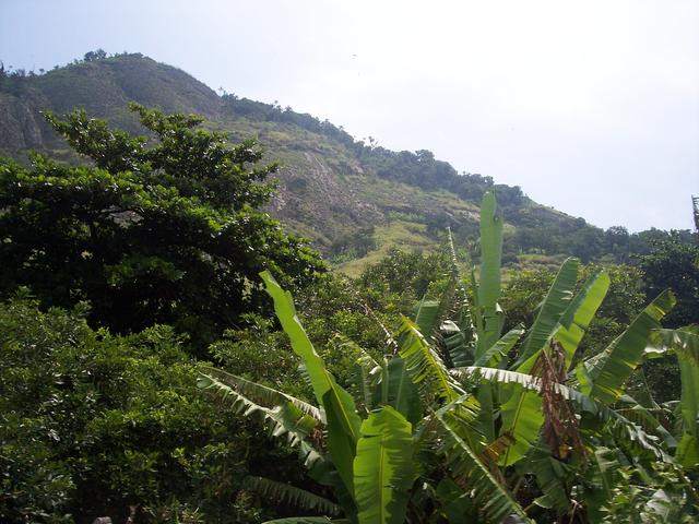 Brazil 094