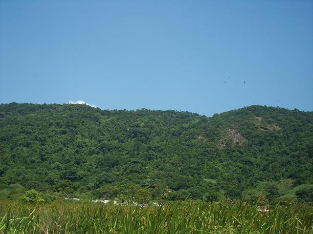 Brazil 131