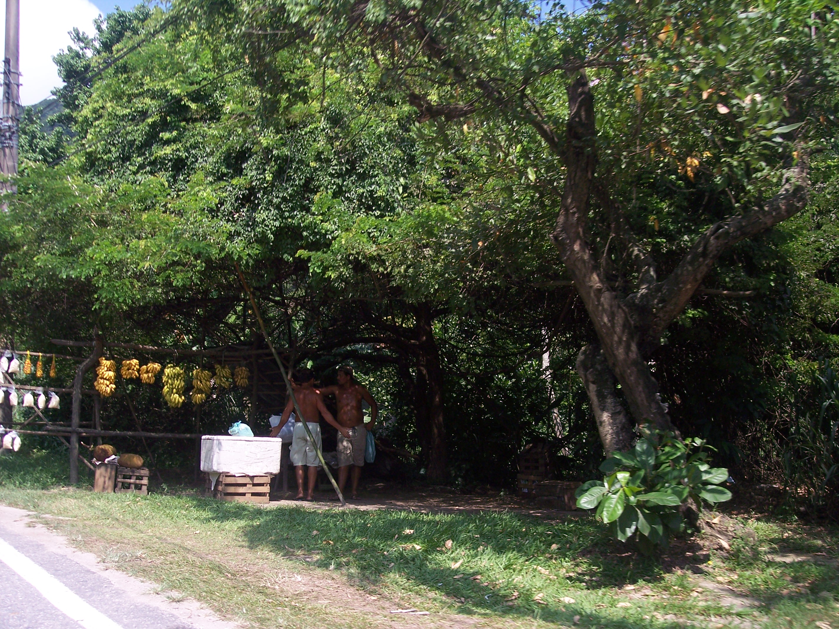 Brazil 140