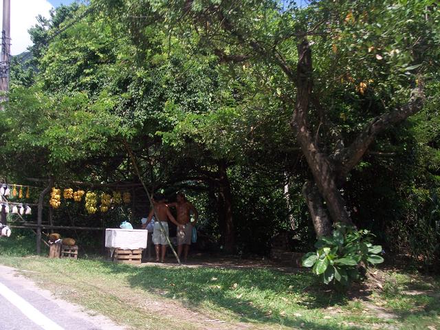 Brazil 140