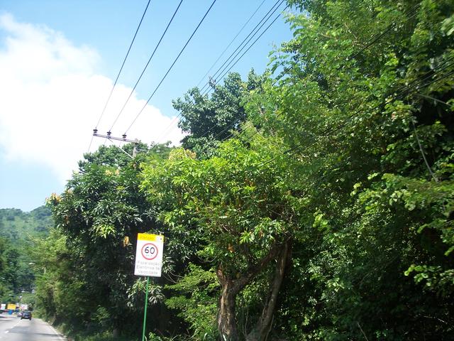 Brazil 141